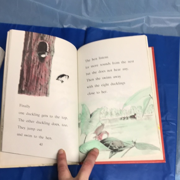 “A Nest of Wood Ducks” by Evelyn Shaw hardback - Picture 10 of 16